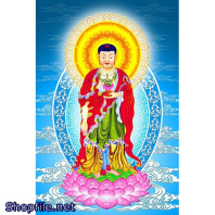 Hình Adida chu du trời đất